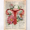 Uterus Anatomie - Floral - Altes Wörterbuch | Codex Anatomicus Clearance