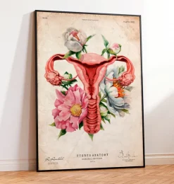 Uterus Anatomie - Floral - Altes Papier | Codex Anatomicus Best