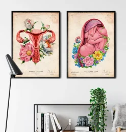 Uterus Anatomie - Floral - Altes Papier | Codex Anatomicus Best
