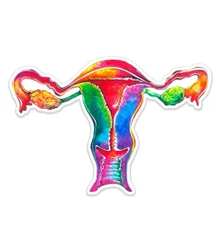 Uterus Anatomie Aufkleber - Aquarell | Codex Anatomicus Online