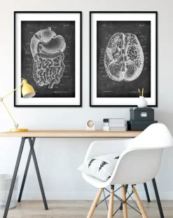 Verdauungssystems Anatomie- Chalkboard | Codex Anatomicus Discount