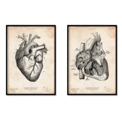 Vintage Herz Anatomie - 5er Set | Codex Anatomicus Discount
