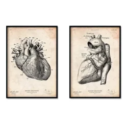 Vintage Herz Anatomie - 5er Set | Codex Anatomicus Discount