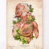 Weibliche Körper Anatomie Kunst | Codex Anatomicus Outlet
