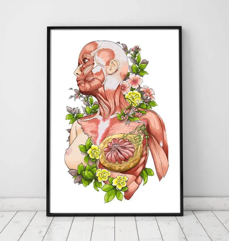 Weibliche Körper Anatomie - Weiß | Codex Anatomicus Best