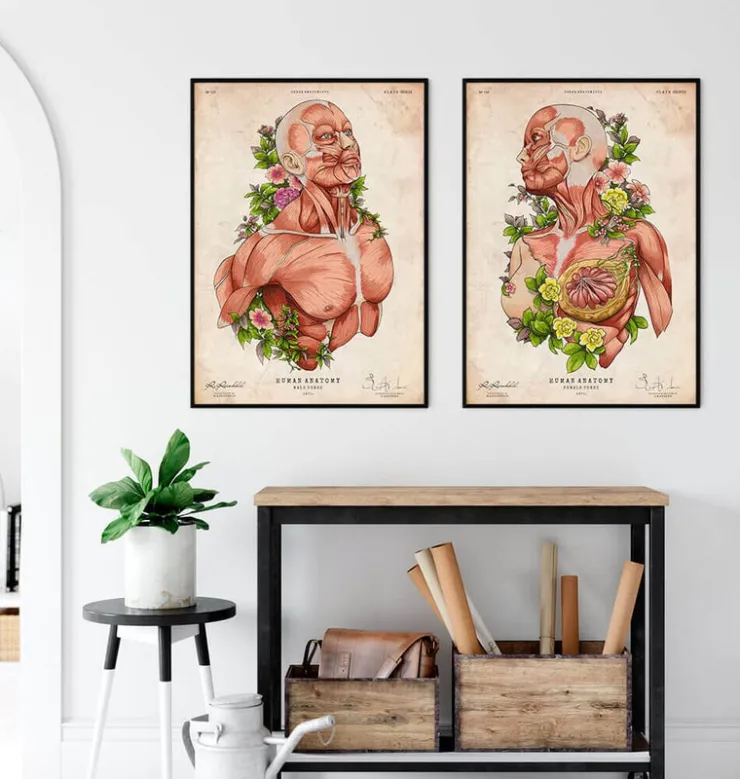 Weibliche Körper Anatomie Kunst | Codex Anatomicus Outlet