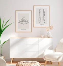Wirbel Anatomie II - Line-Art | Codex Anatomicus Fashion