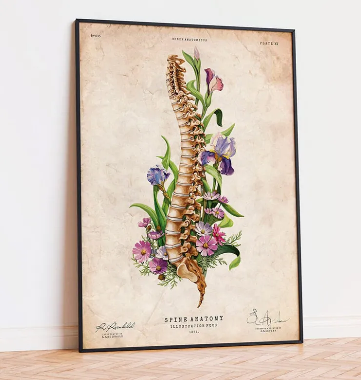 Wirbelsäulen Anatomie - Blumen - Altes Papier | Codex Anatomicus Hot