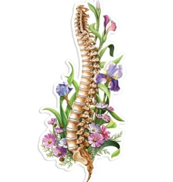 Wirbelsäulen Anatomie Aufkleber - Floral | Codex Anatomicus Fashion