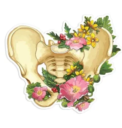 Wirbelsäulen Anatomie Aufkleber - Floral | Codex Anatomicus Discount