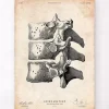 Wirbelsäulen Anatomie Kunst I | Codex Anatomicus Best