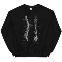 Wirbelsäulen Unisex Sweatshirt - Chalkboard | Codex Anatomicus Clearance