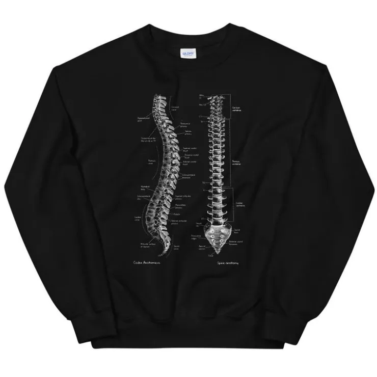 Wirbelsäulen Unisex Sweatshirt - Chalkboard | Codex Anatomicus Clearance