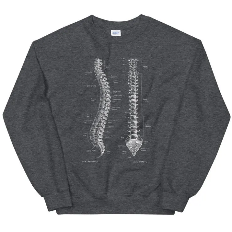 Wirbelsäulen Unisex Sweatshirt - Chalkboard | Codex Anatomicus Clearance