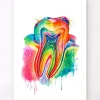 Zahn Anatomie - Aquarell | Codex Anatomicus Discount
