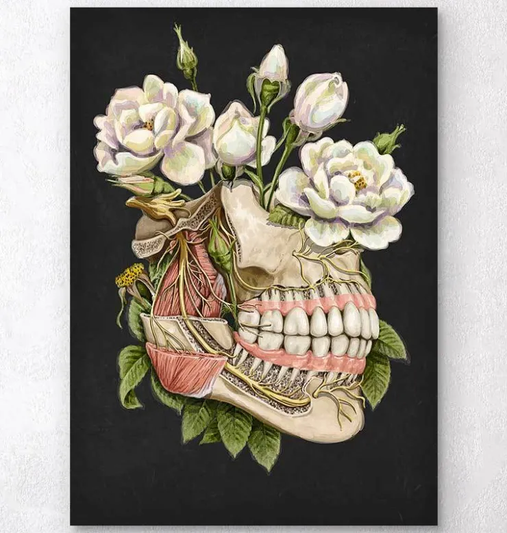 Zahn Anatomie - Floral - Schwarz | Codex Anatomicus Clearance