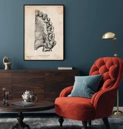 Zahn Anatomie Kunst | Codex Anatomicus Hot