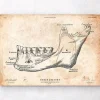 Zahn und Kiefer Anatomie | Codex Anatomicus Fashion
