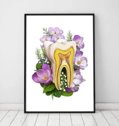 Zahnanatomie - Blumen - Weiß | Codex Anatomicus Outlet