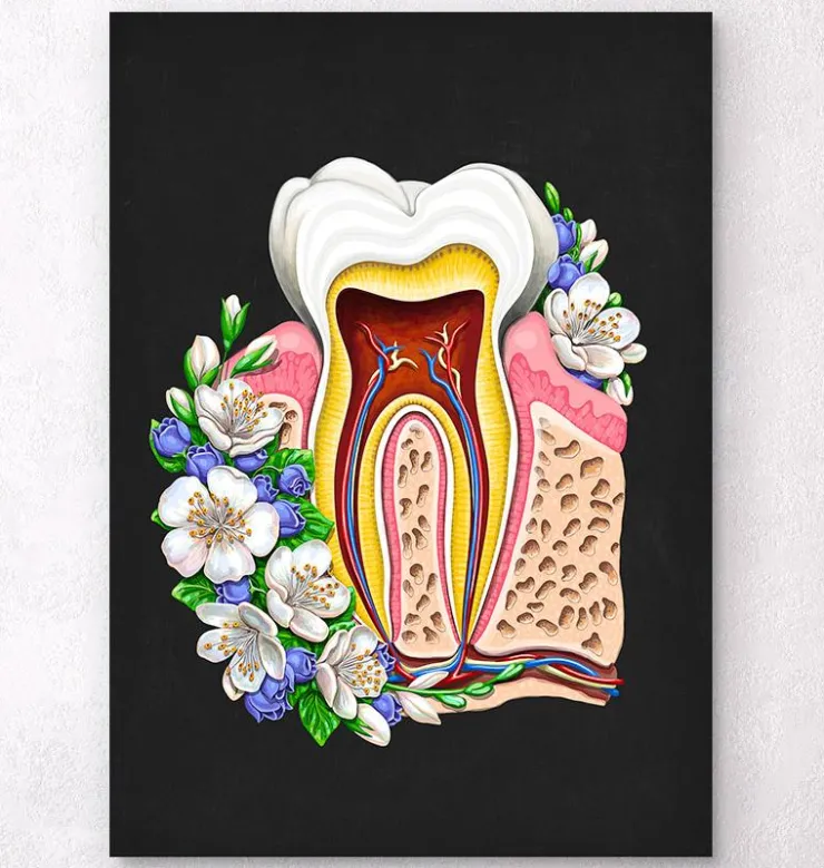 Zahnanatomie II - Floral - Schwarz | Codex Anatomicus Clearance