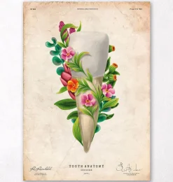 Zahnanatomie III - Floral - Vintage | Codex Anatomicus Fashion