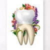 Zahnanatomie IV - Floral - Weiß | Codex Anatomicus Best