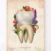 Zahnanatomie IV - Floral - Vintage | Codex Anatomicus Best