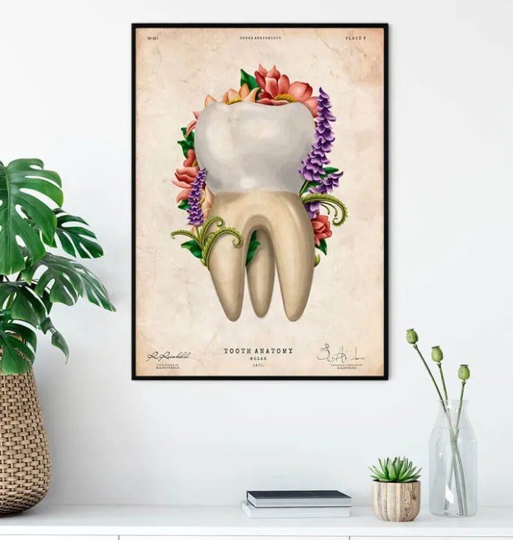 Zahnanatomie IV - Floral - Vintage | Codex Anatomicus Best