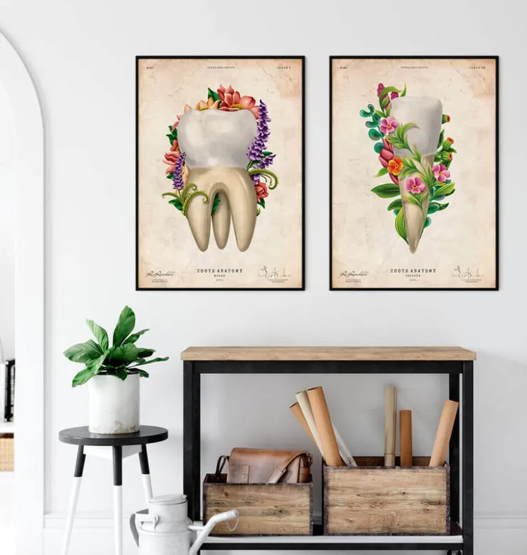 Zahnanatomie IV - Floral - Vintage | Codex Anatomicus Best