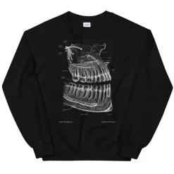 Zahnanatomie Unisex Sweatshirt - Chalkboard | Codex Anatomicus Clearance