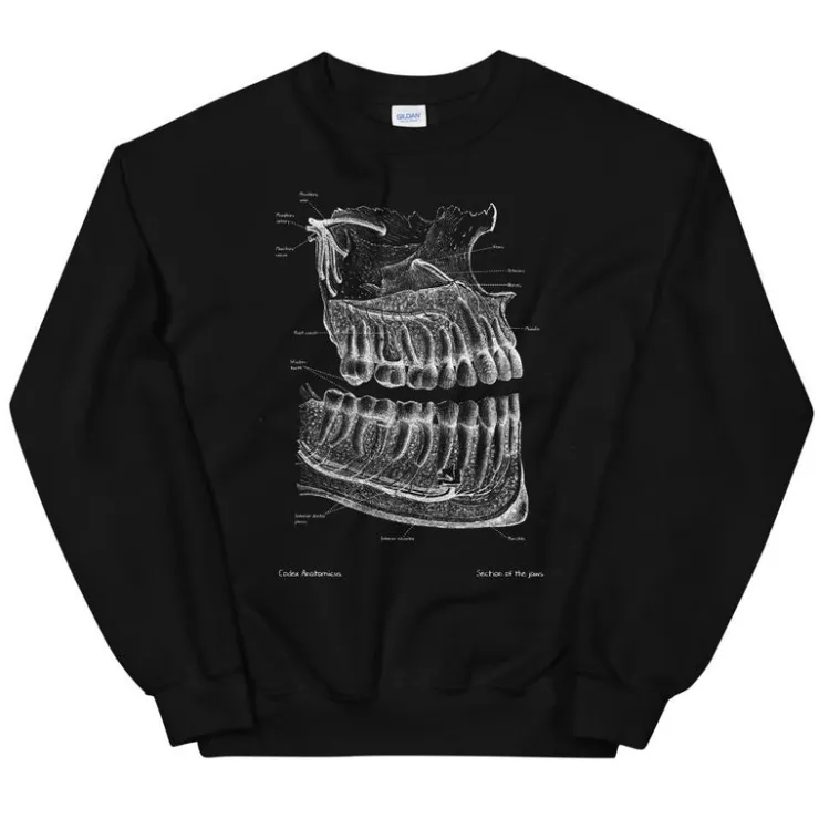 Zahnanatomie Unisex Sweatshirt - Chalkboard | Codex Anatomicus Clearance