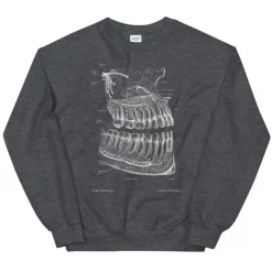 Zahnanatomie Unisex Sweatshirt - Chalkboard | Codex Anatomicus Clearance
