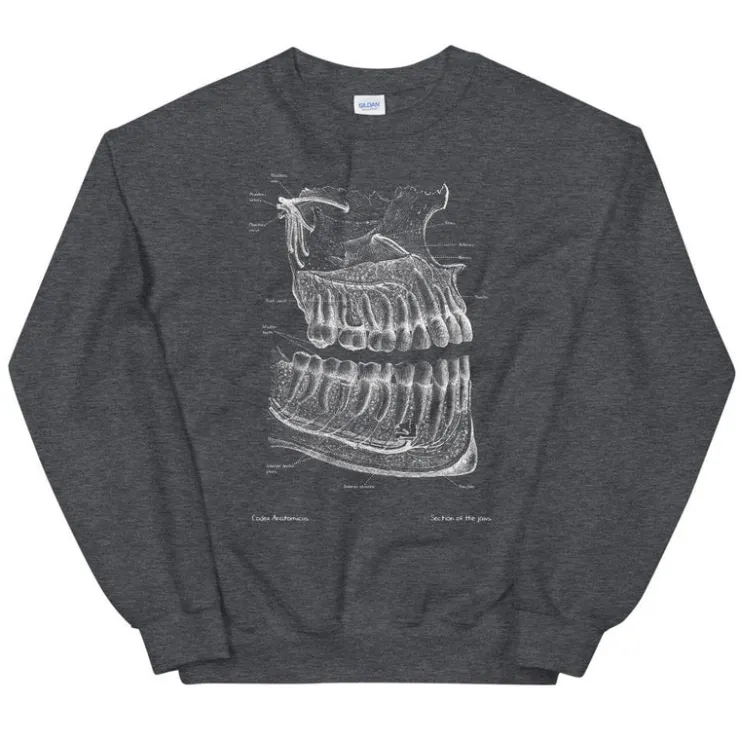 Zahnanatomie Unisex Sweatshirt - Chalkboard | Codex Anatomicus Clearance